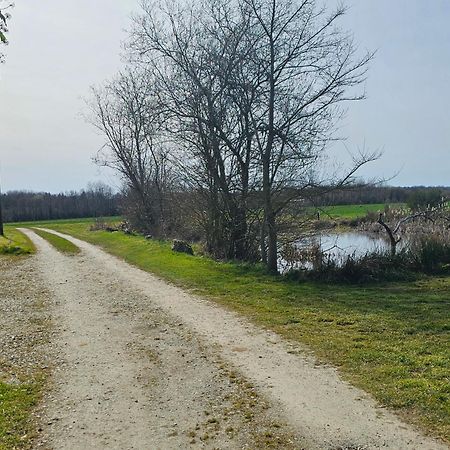 Au Petit Paradis Sainte-Gauburge-Sainte-Colombe Zewnętrze zdjęcie